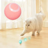 Purrball™- De zelfrollende bal voor je kat!