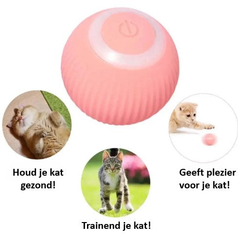 Purrball™- De zelfrollende bal voor je kat!