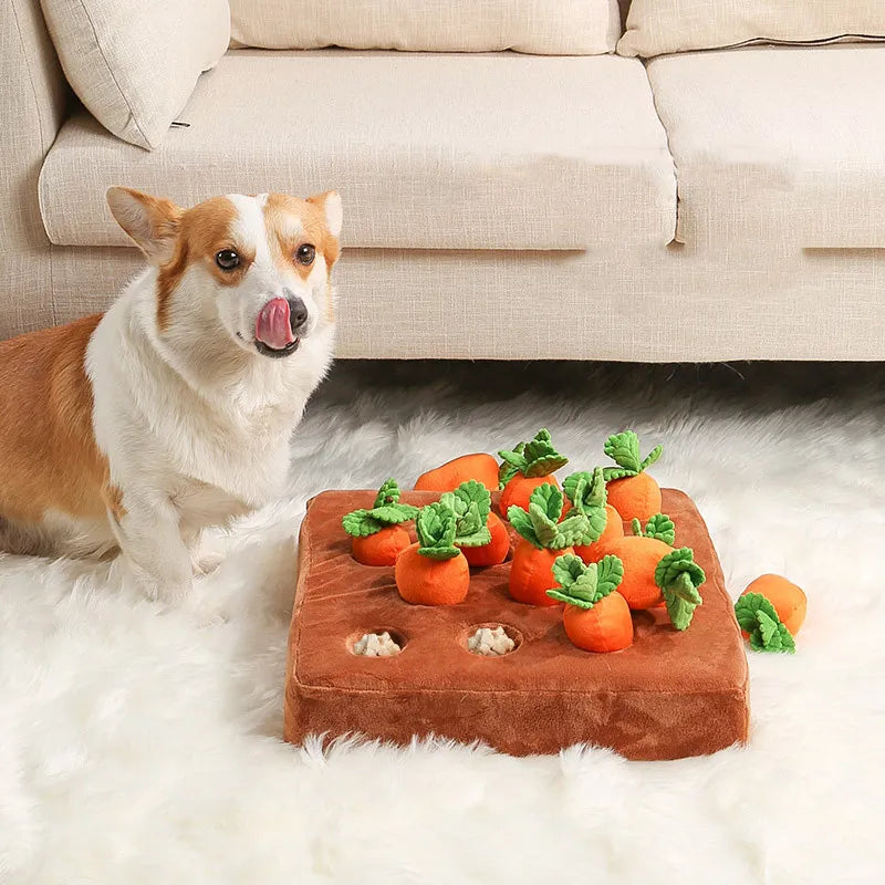 Carrotsearch™ | De perfecte bezigheid voor je harige vriend!