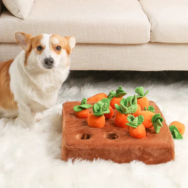 Carrotsearch™ | De perfecte bezigheid voor je harige vriend!