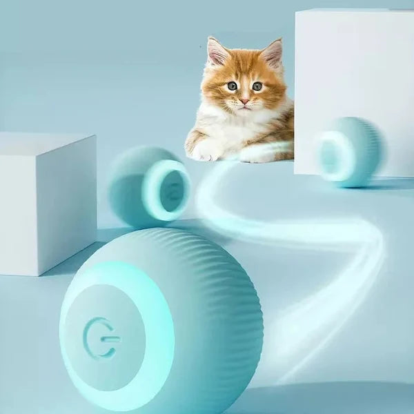 Purrball™- De zelfrollende bal voor je kat!